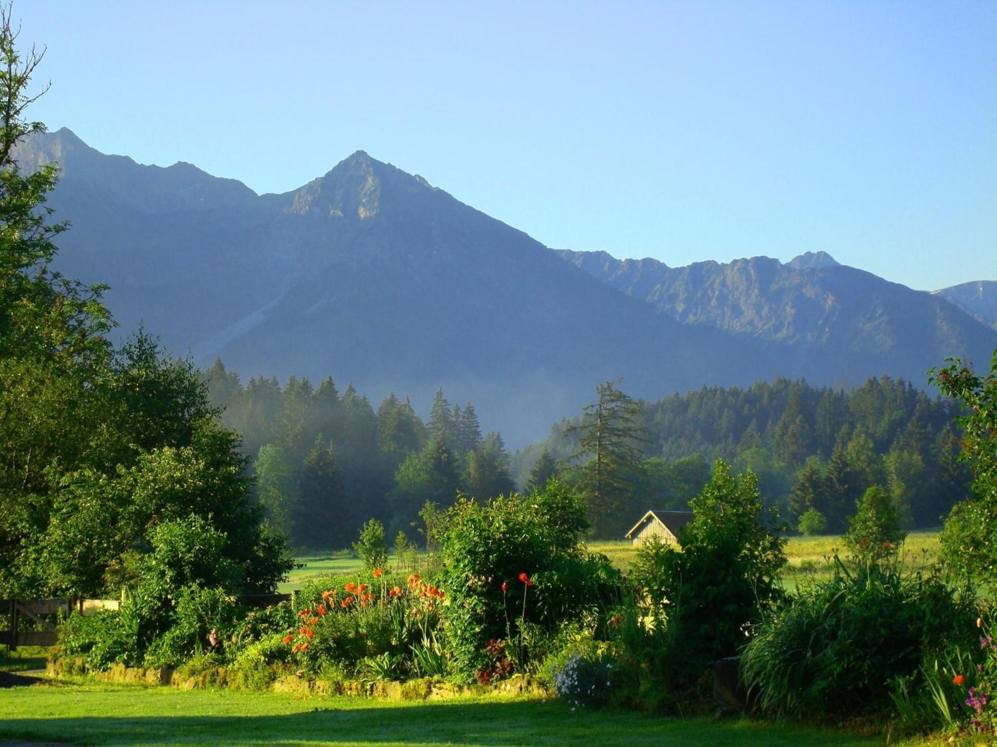 Nebelhorn Apartman Ofterschwang Kültér fotó